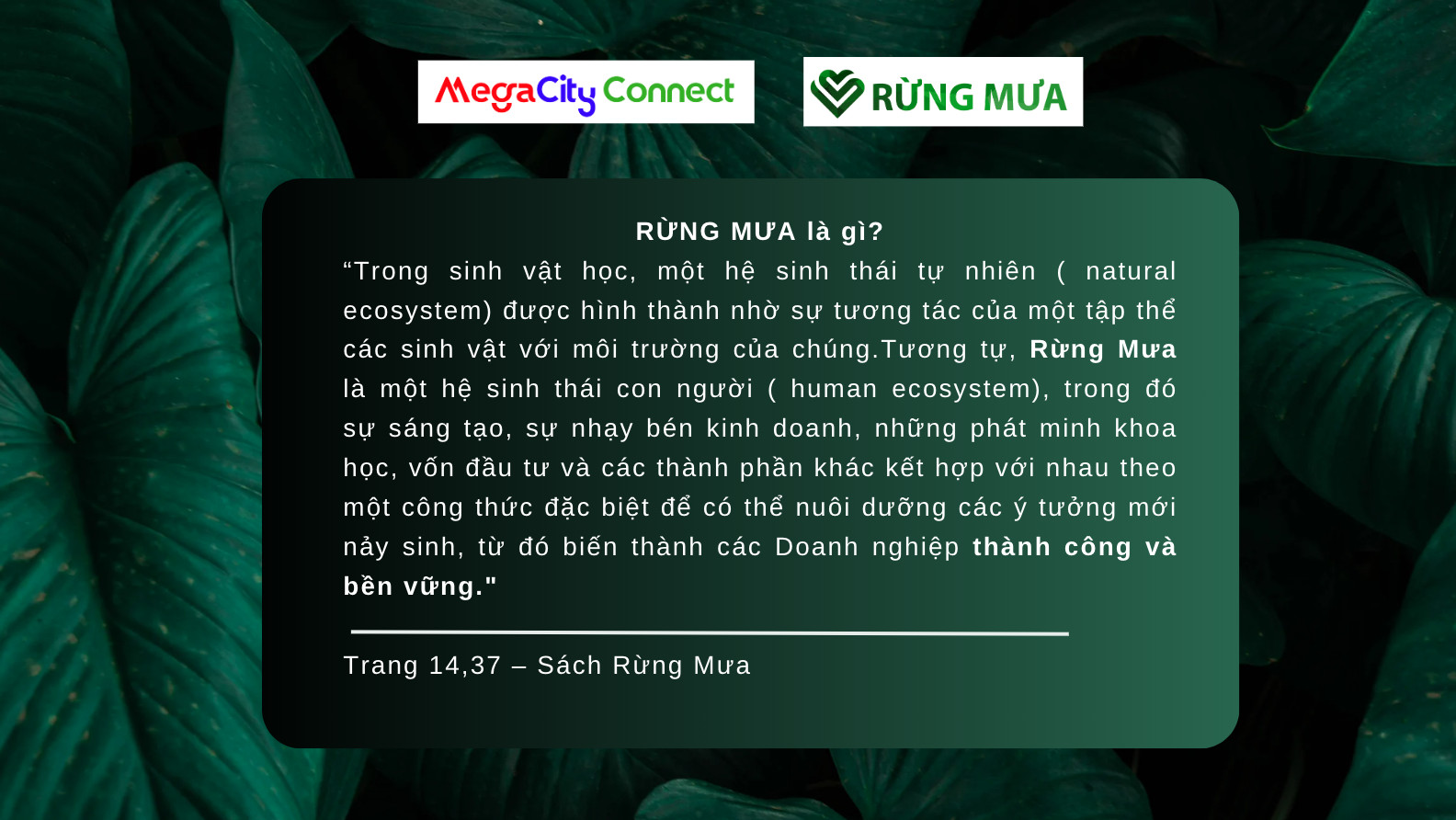 Rừng mưa là gì?